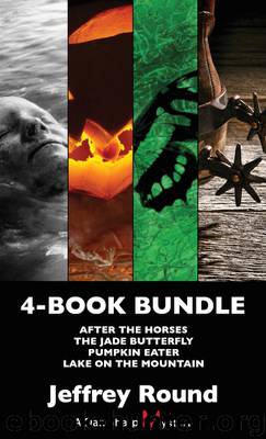 Dan Sharp Mysteries 4-Book Bundle by Jeffrey Round