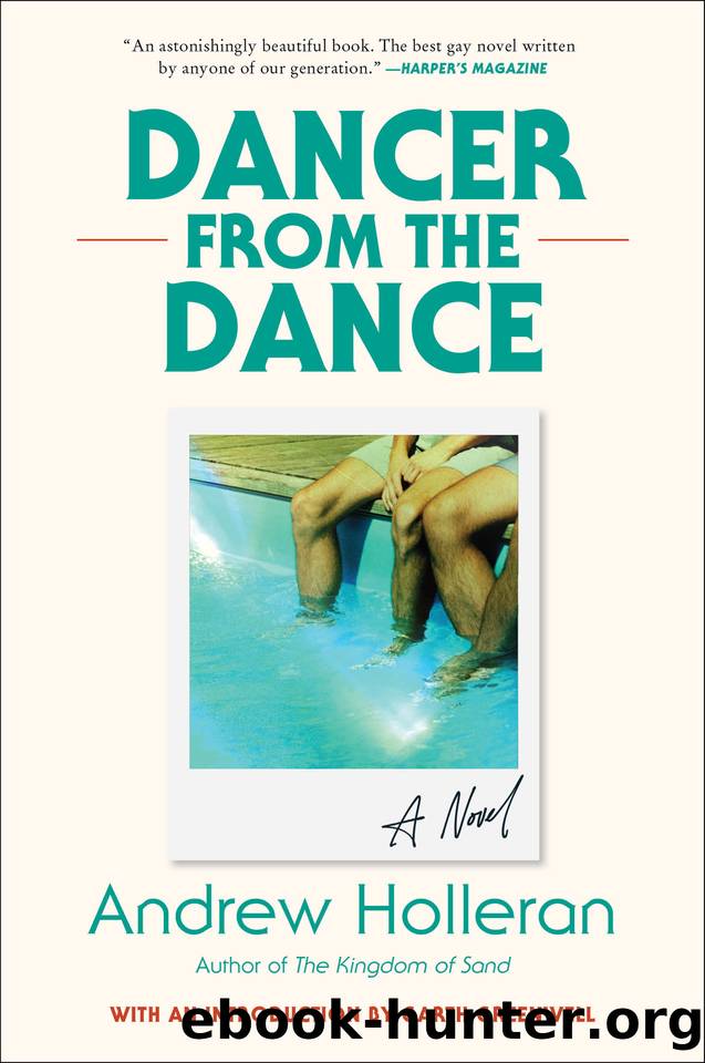 Dancer from the Dance by Holleran Andrew