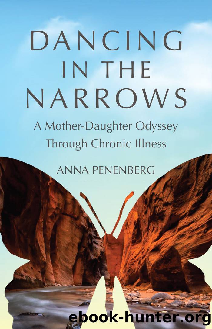 Dancing in the Narrows by Anna Penenberg