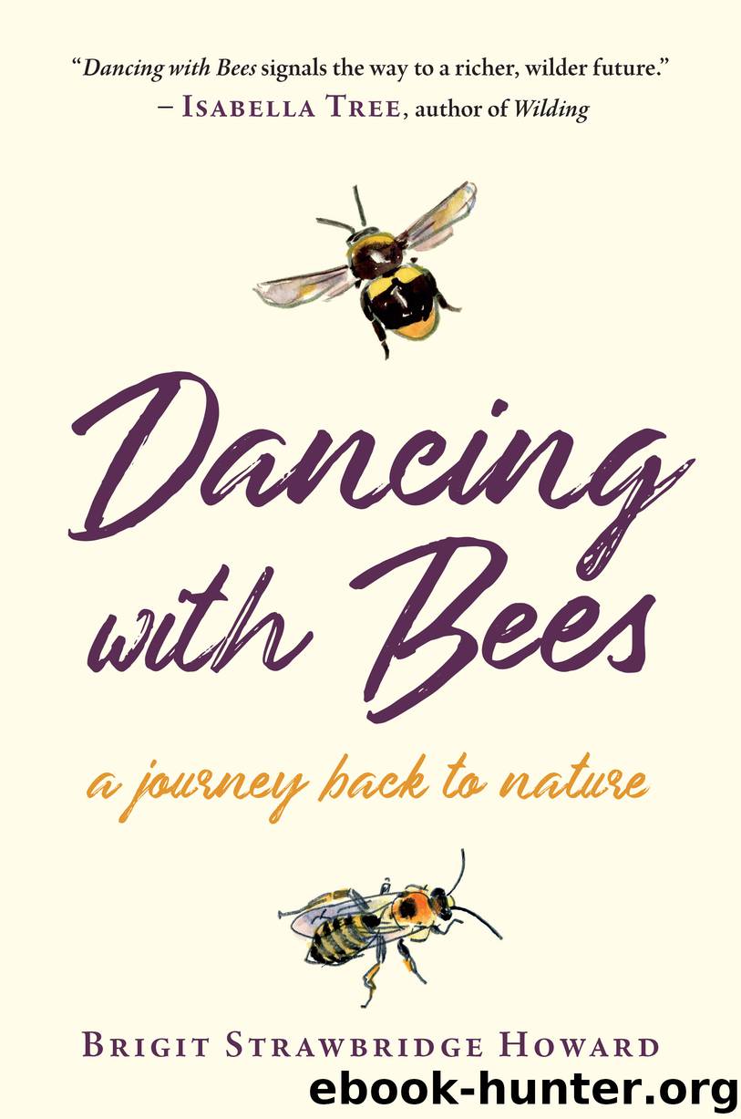 Dancing with Bees by Brigit Strawbridge Howard