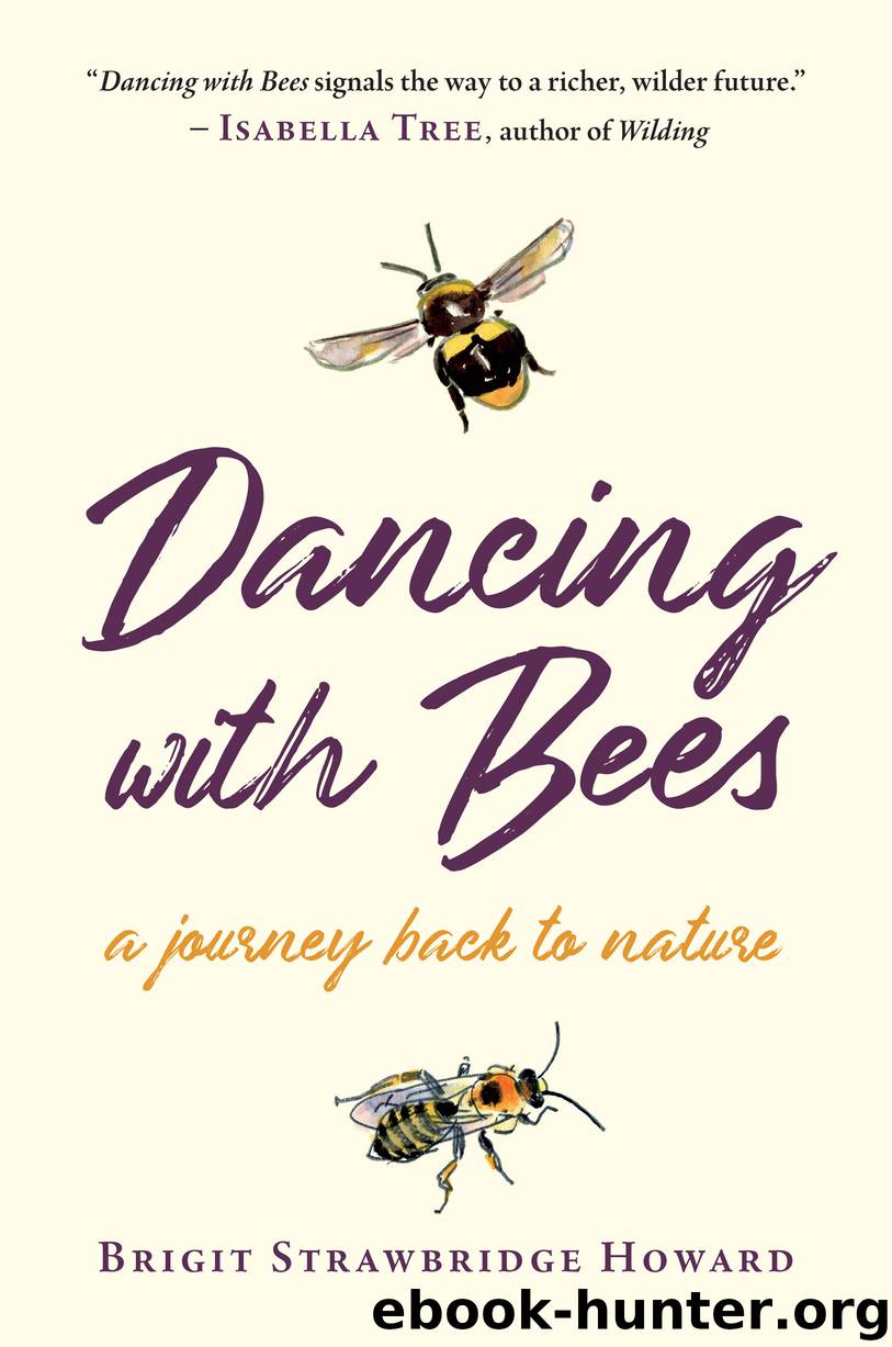 Dancing with Bees by Brigit Strawbridge Howard