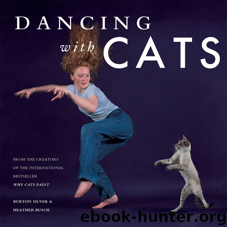 Dancing with Cats by Burton Silver