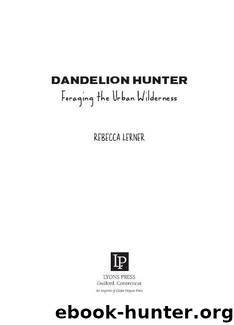 Dandelion Hunter by Rebecca Lerner