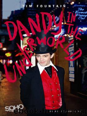 Dandy in the Underworld (Oberon Modern Plays) by Tim Fountain & Sebastian Horsley