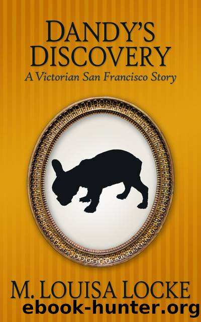 Dandy's Discovery by M. Louisa Locke