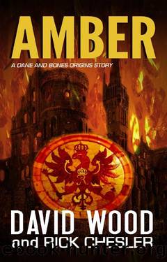 Dane Maddock Origins 07 Amber by David Wood; Rick Chesler