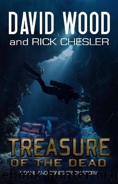 Dane Maddock Origins 09 Treasure of the Dead by David Wood; Rick Chesler