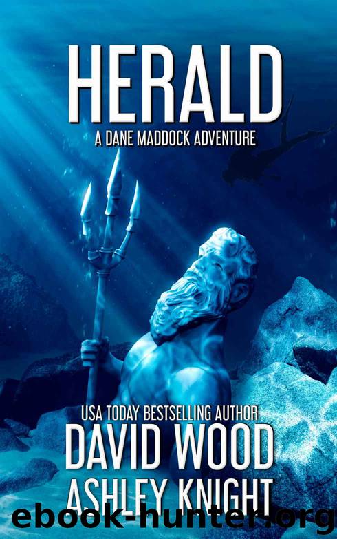 Dane Maddock Universe Book 6 Herald by David Wood & Ashley Knight