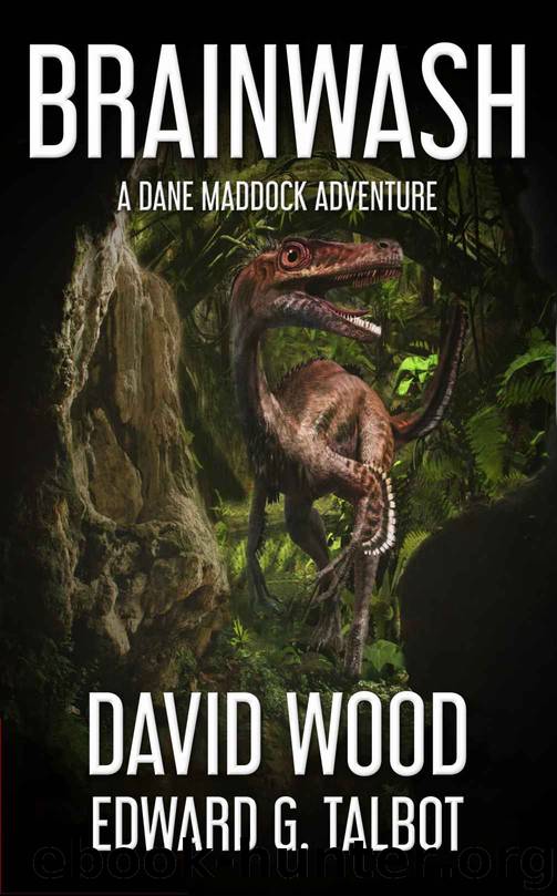 Dane Maddock Universe Book 7 Brainwash by David Wood & Edward G. Talbot