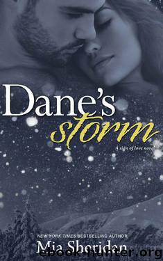Dane's Storm by Mia Sheridan