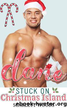 Dane: Stuck on Christmas Island (Stuck Series Book 4) by Scarlett Woods