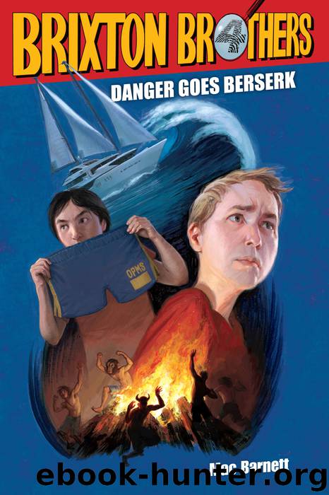 Danger Goes Berserk by Mac Barnett