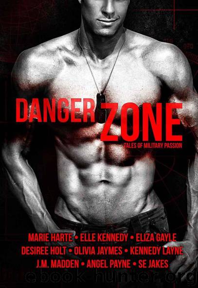 Danger Zone: Tales of Military Passion by unknow