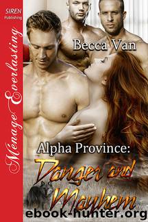 Danger and Mayhem by Becca Van