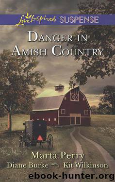 Danger in Amish Country: Fall from Grace\Dangerous Homecoming\Return to Willow Trace (Love Inspired Suspense) by Perry Marta & Burke Diane & Wilkinson Kit
