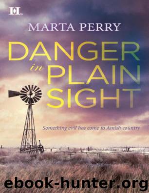 Danger in Plain Sight (Hqn) by Perry Marta