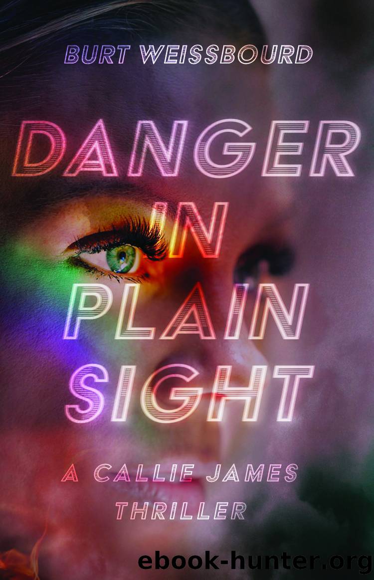 Danger in Plain Sight by Burt Weissbourd