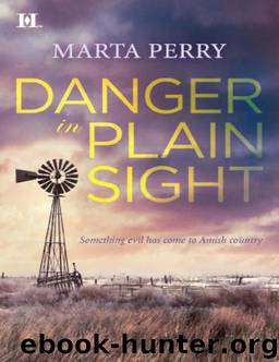 Danger in Plain Sight by Marta Perry