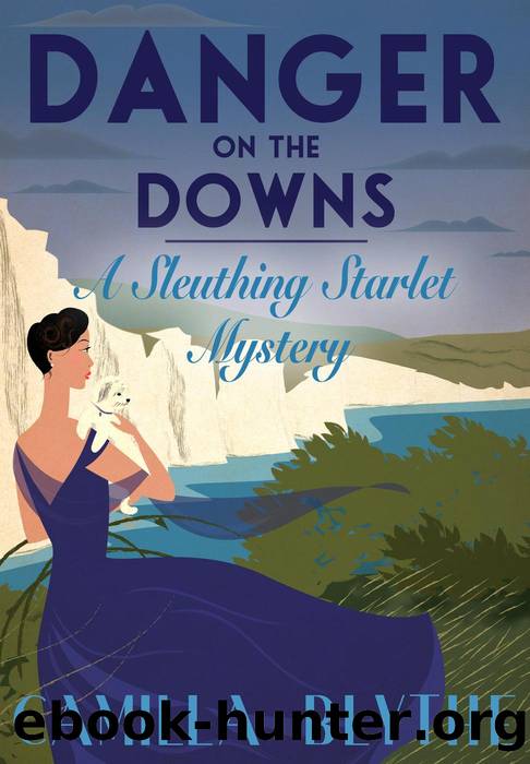 Danger on the Downs by Camilla Blythe