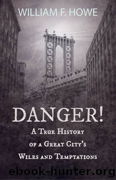 Danger! - A True History of a Great City's Wiles and Temptations by William F. Howe Abraham H. Hummel