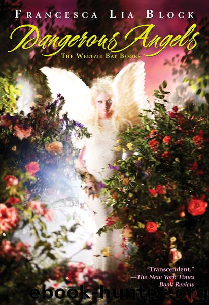 Dangerous Angels by Francesca Lia Block