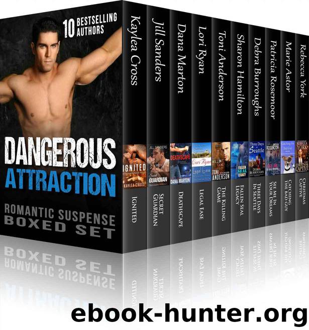 Dangerous Attraction Romantic Suspense Boxed Set (9 Novels from Bestselling Authors, plus Bonus Christmas Novella from NY Times Bestselling Author Rebecca York) by unknow