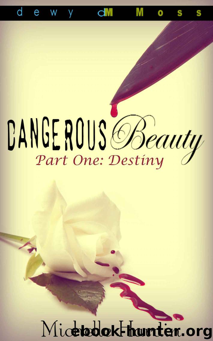 Dangerous Beauty: Part One: Destiny by Michelle Hardin