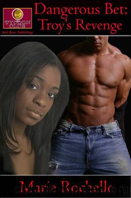 Dangerous Bet - Troy's Revenge by Marie Rochelle