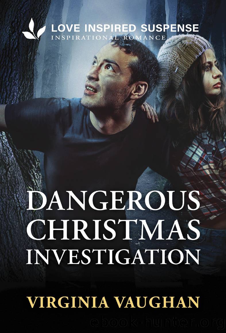 Dangerous Christmas Investigation by Virginia Vaughan