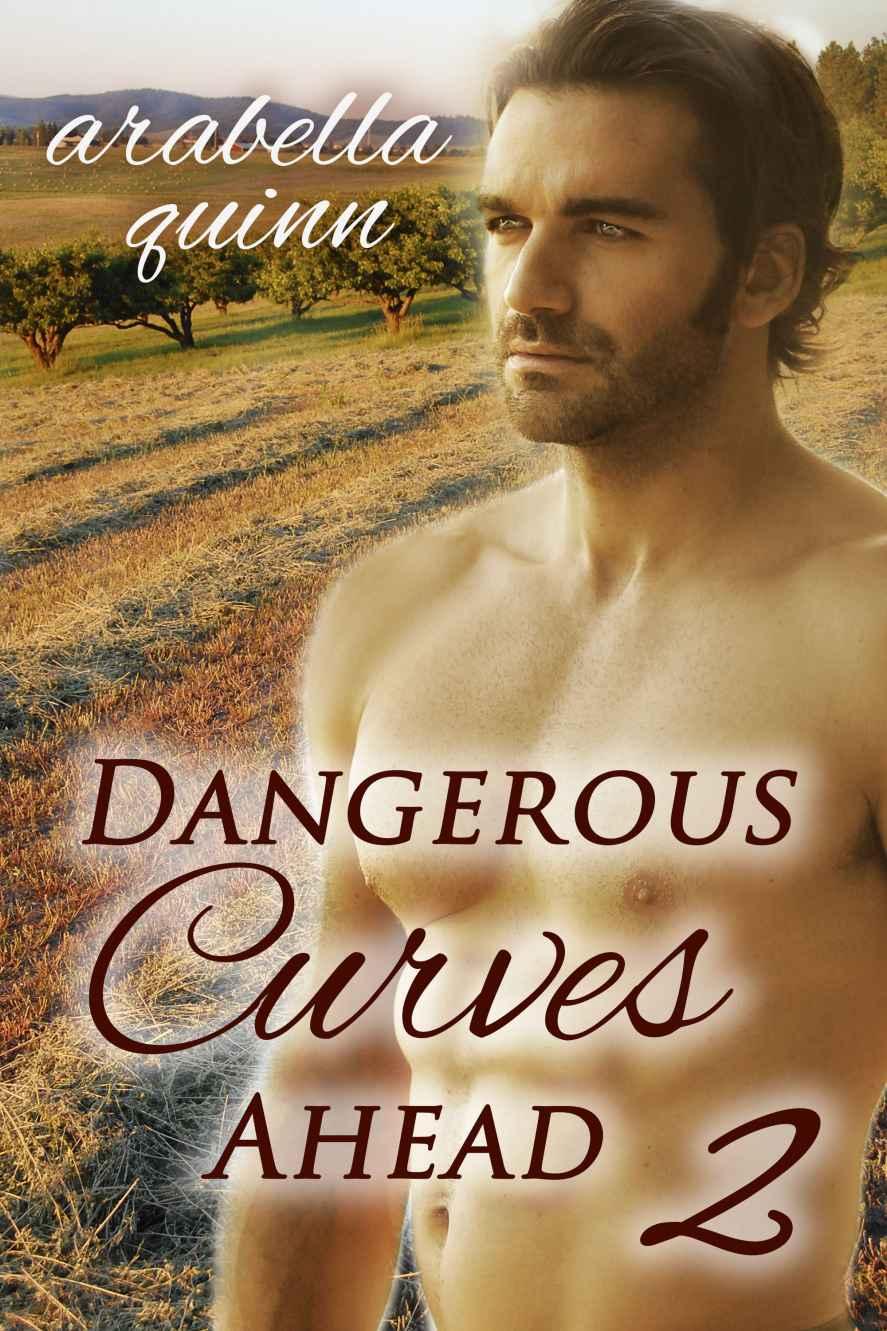 Dangerous Curves Ahead 2 (Cowboy / BBW Erotic Romance) by Quinn Arabella