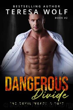 Dangerous Divide: An Alpha Billionaire Romance with a Side of Mystery (The Devil Wears a Suit Book #2) by Teresa Wolf