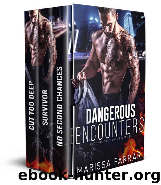 Dangerous Encounters: A Romantic Suspense Boxed Set by Farrar Marissa