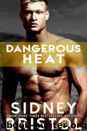 Dangerous Heat (Aegis Group, #8) by Sidney Bristol