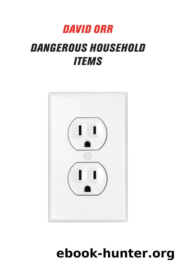 Dangerous Household Items by David Orr