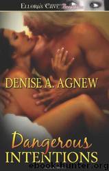 Dangerous Intentions: Taggert Security, Book 1 by Denise A Agnew