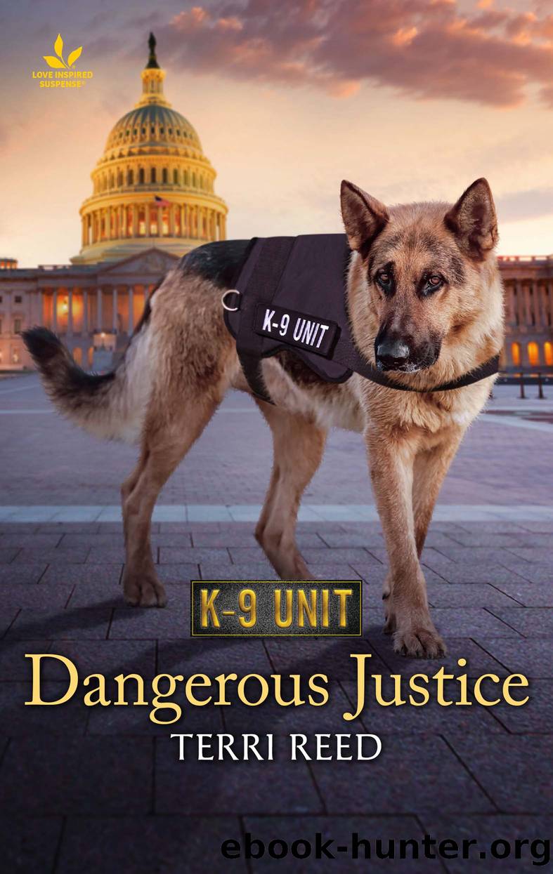 Dangerous Justice by Terri Reed