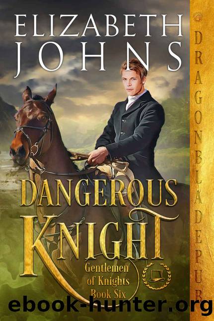 Dangerous Knight by Johns Elizabeth