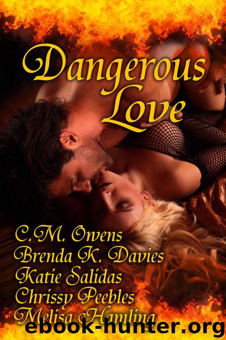 Dangerous Love by C.M. Owens & Brenda K. Davies & Chrissy Peebles & Melisa Hamling & W.J. May