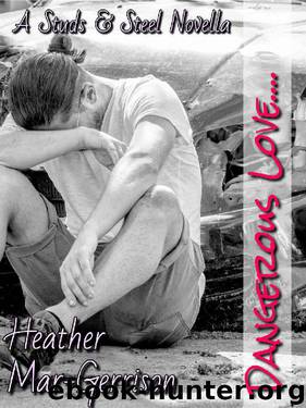 Dangerous Love...: A Studs & Steel Novella by Heather Mar-Gerrison