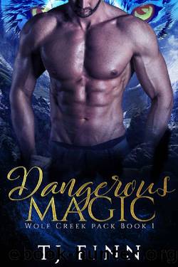 Dangerous Magic by T J Finn