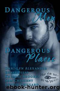 Dangerous Men, Dangerous Places by Krystal Brookes & Rhyll Biest & Sam Crescent & Dani-Lyn Alexander & Lyncee Shillard