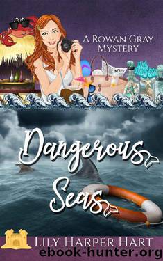 Dangerous Seas by Lily Harper Hart