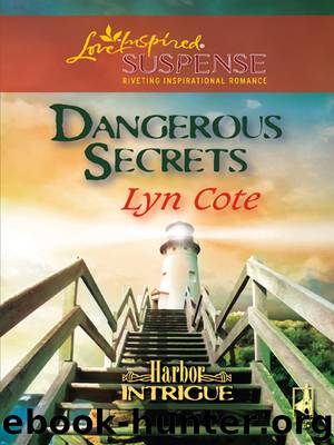 Dangerous Secrets by Lyn Cote