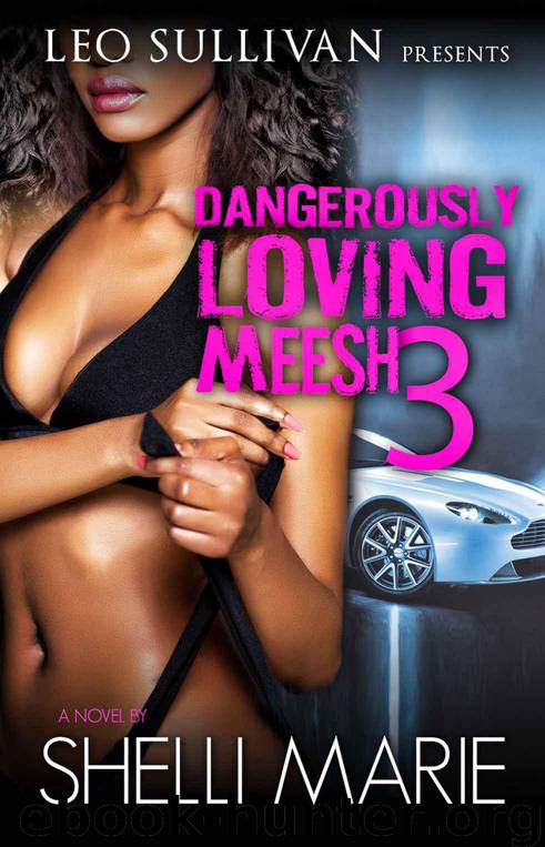 Dangerously Loving Meesh 3 by Shelli Marie