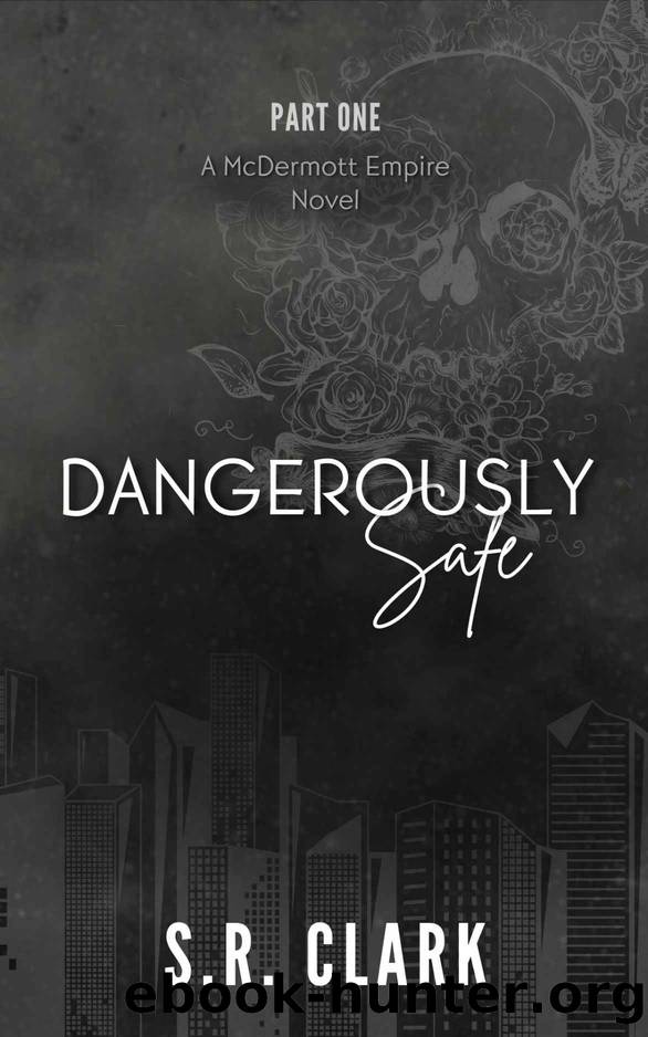 Dangerously Safe by Clark S.R