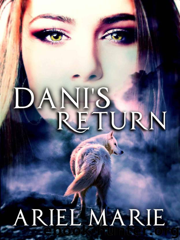 Dani's Return by Ariel Marie