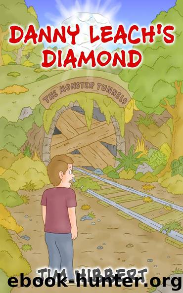 Danny Leach's Diamond by Jim Hibbert