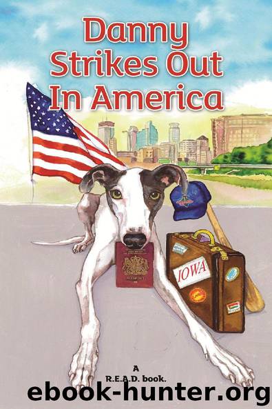 Danny Strikes Out in America by JudyBee