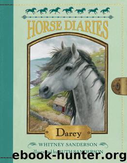 Darcy by Whitney Sanderson