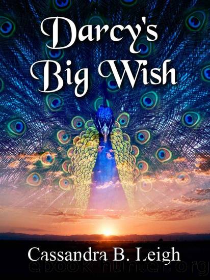 Darcy's Big Wish by Cassandra B. Leigh